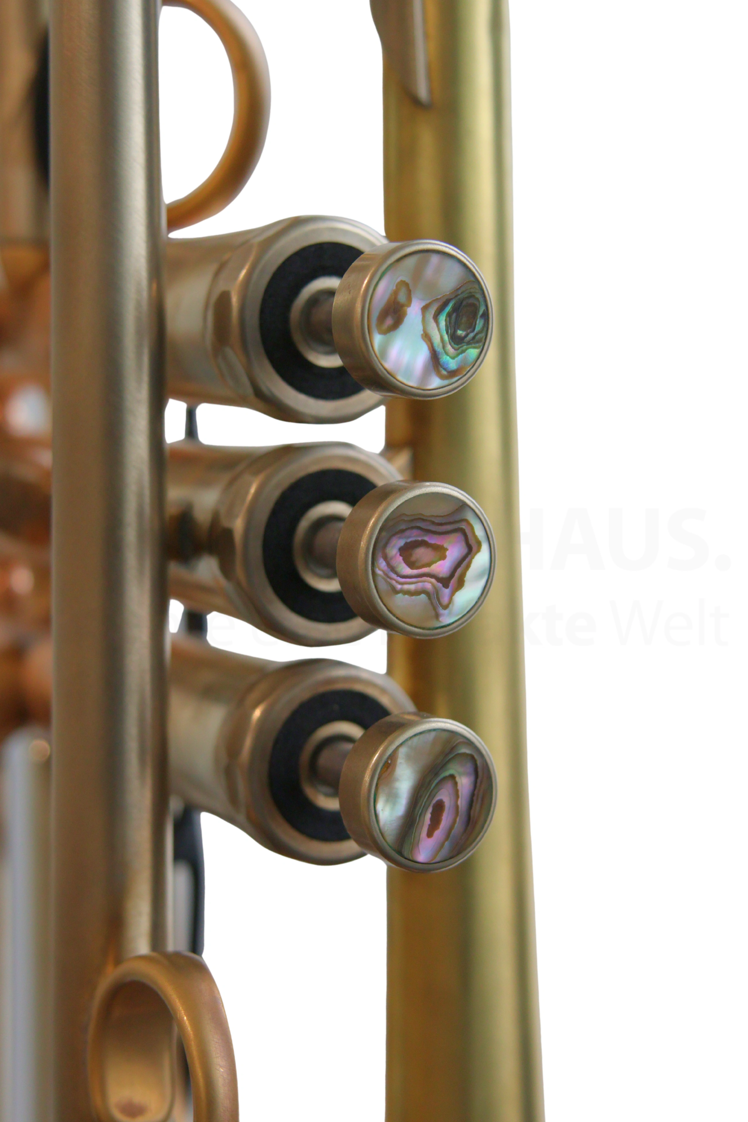 B Trompete Lotus Mod. Solo Lead (Mod. 2019) gebr.