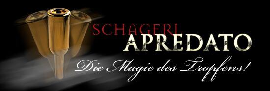 Schagerl Apredato BG2 vergoldet Mundstück Trompete