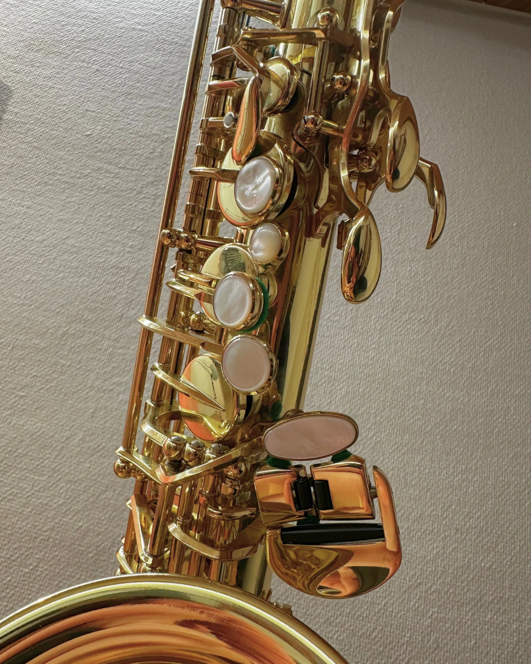 Altsaxophon Selmer SAIII lack. gebr. Altsaxophon Selmer SAIII lack. gebr.