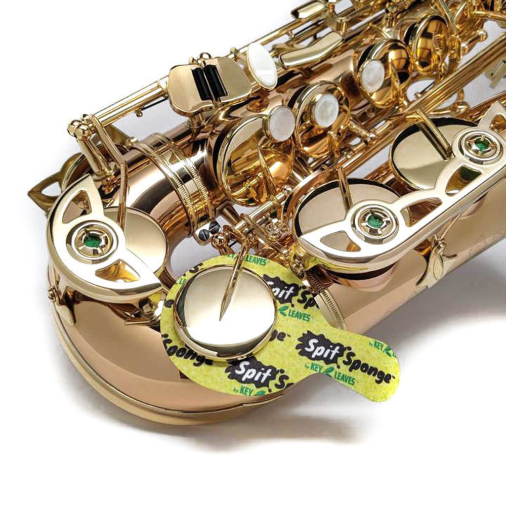 Polster Flies Key Leaves Saxophon