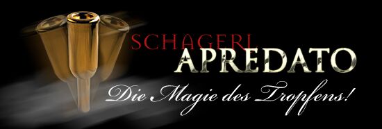 Schagerl Apredato Trompetenmundstück Hans Gansch vergoldet